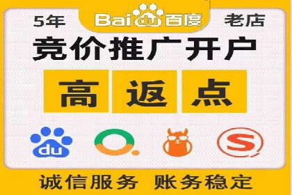 短视频平台的SEM推广实践与效果